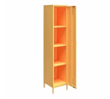 Cache Single Metal Locker Storage Cabinet