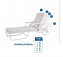 Connie Outdoor Multi-Position Chaise Lounge with Cover