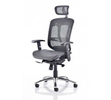 Mirage II Mesh Executive Chair with Arms