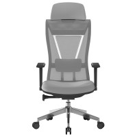 Moritz Ergonomic Mesh Chair