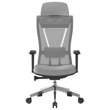 Moritz Ergonomic Mesh Chair